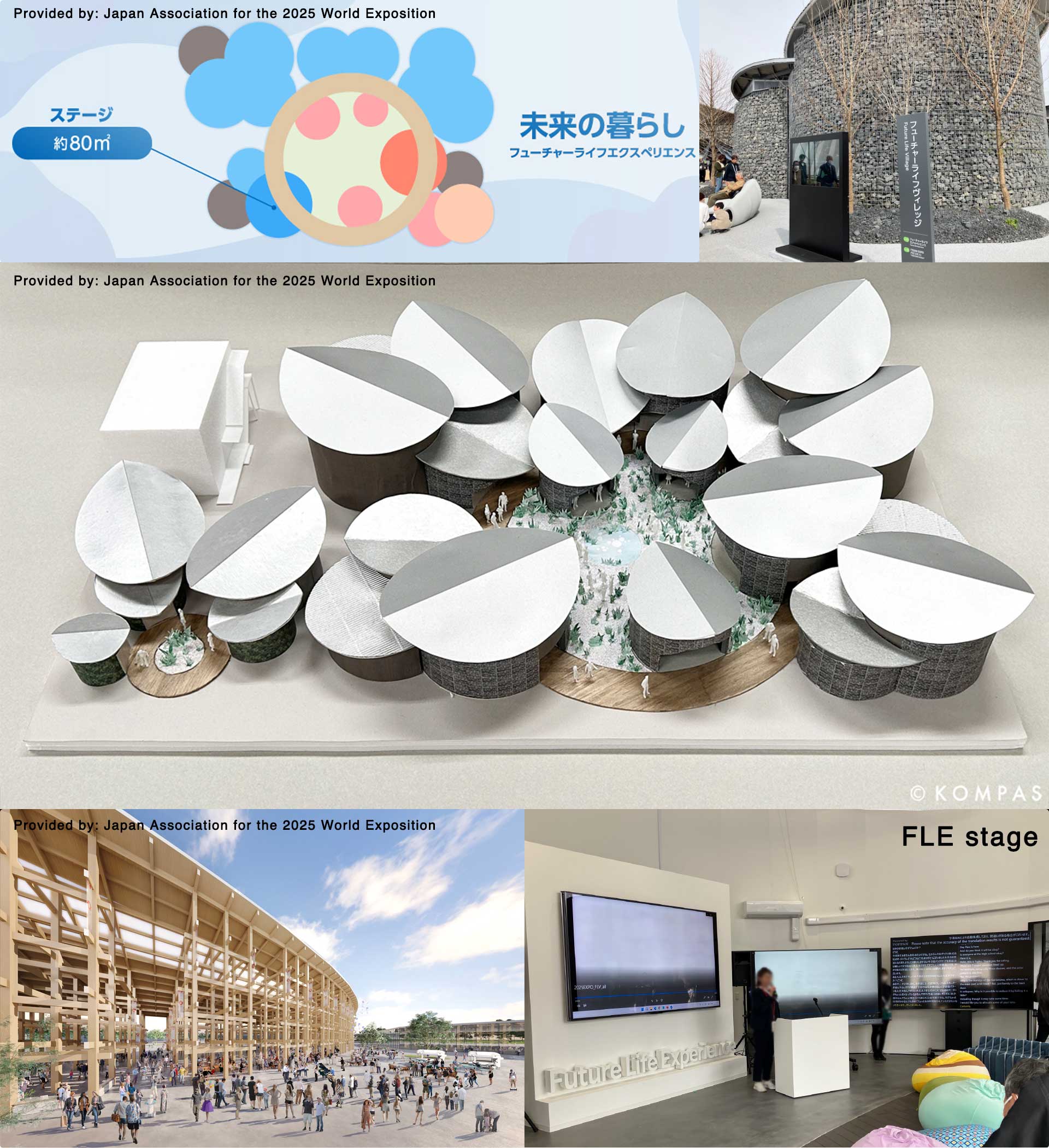 Future Life Experience