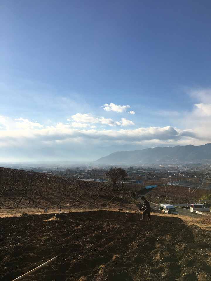 堆肥蒔き