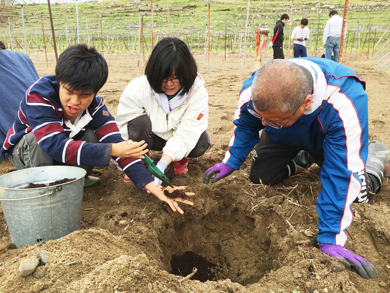 葡萄の植樹祭