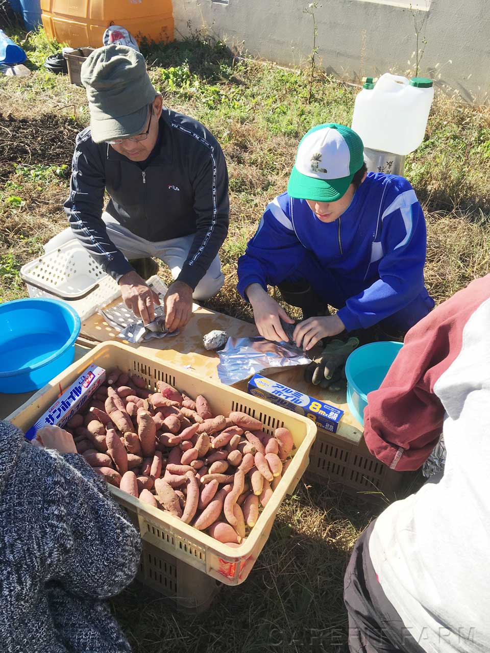焼き芋イベント