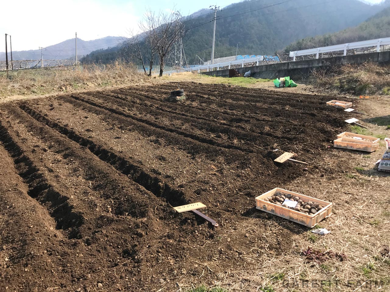 じゃがいも植え付けイベント