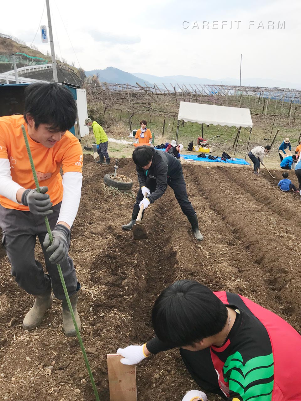 じゃがいも植え付けイベント