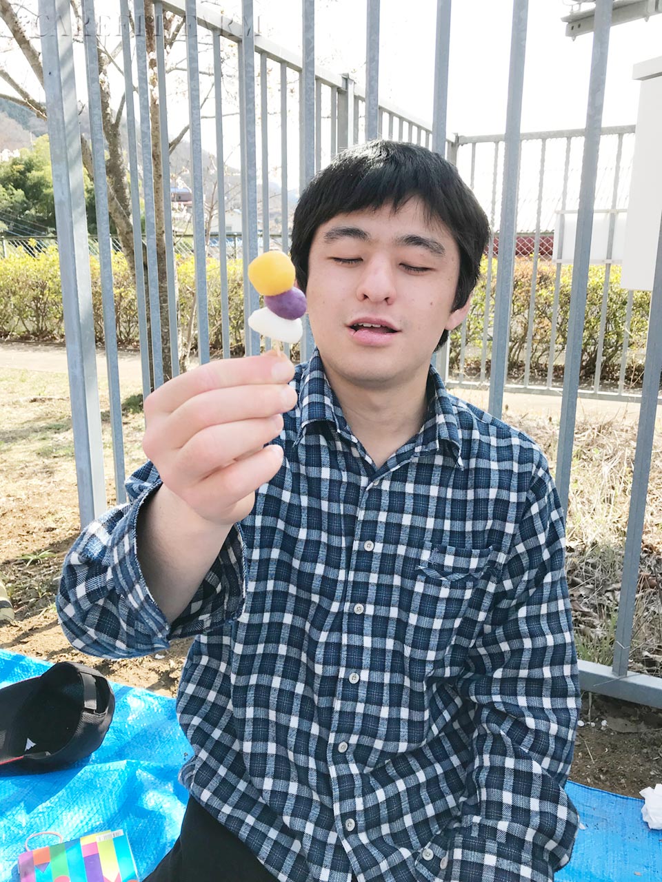 お花見