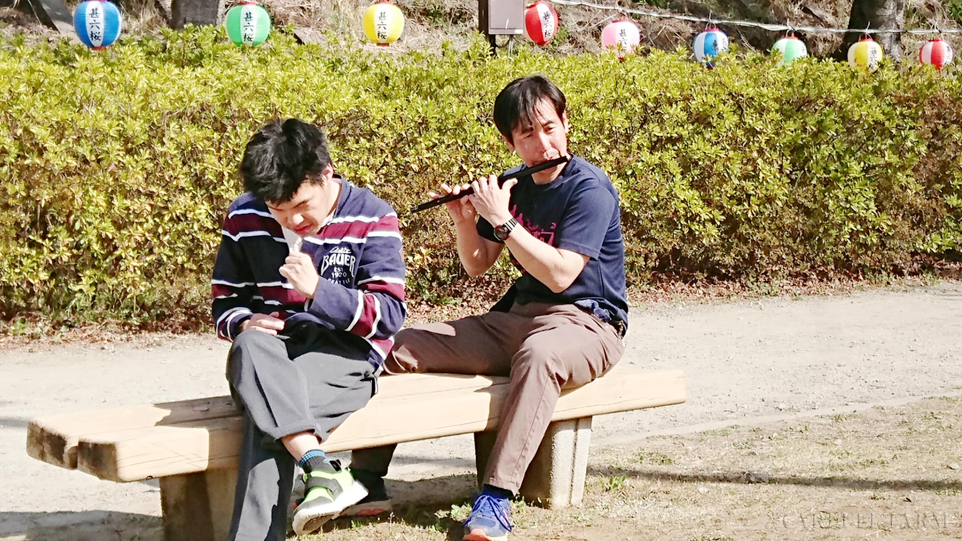 お花見
