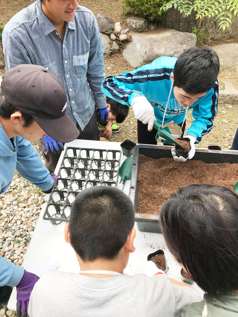 お仕事体験会