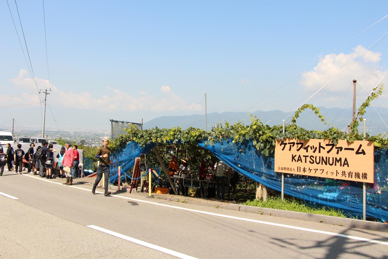 巨峰収穫祭