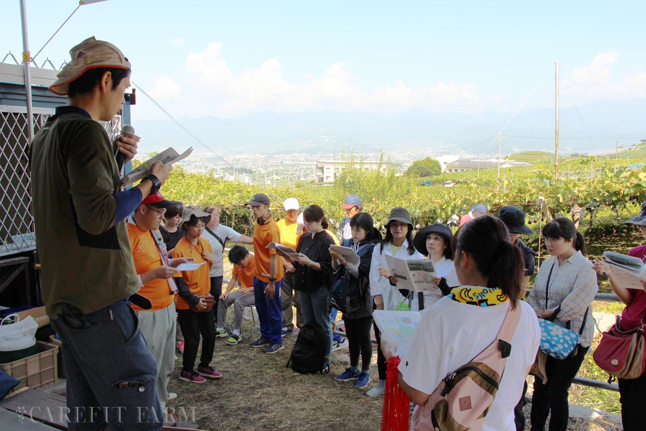 巨峰収穫祭