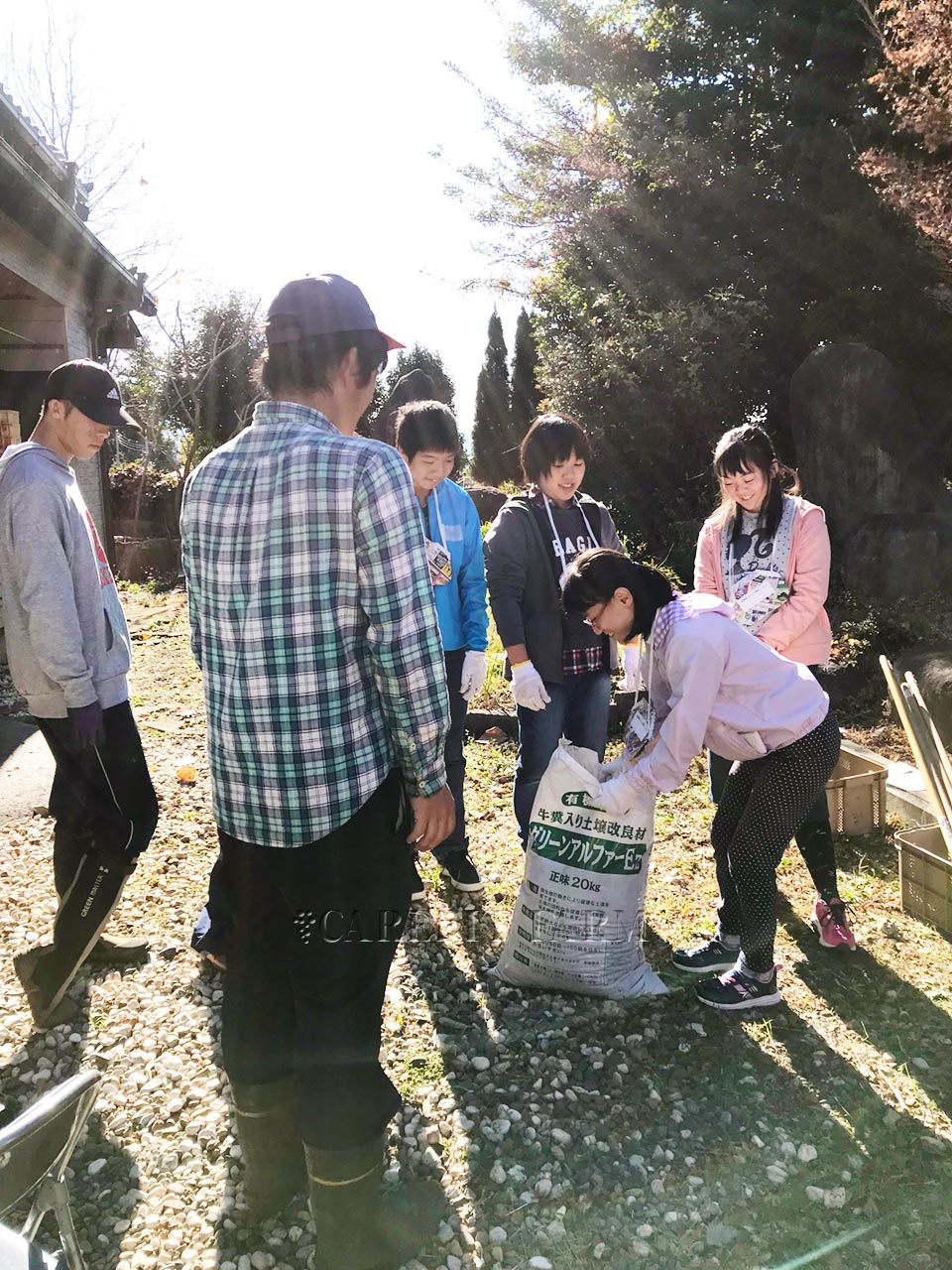 農作業体験