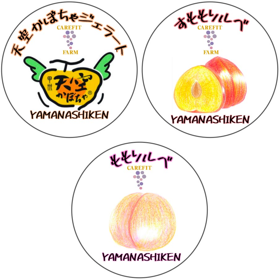 甲州ジェラート&ソルベセット