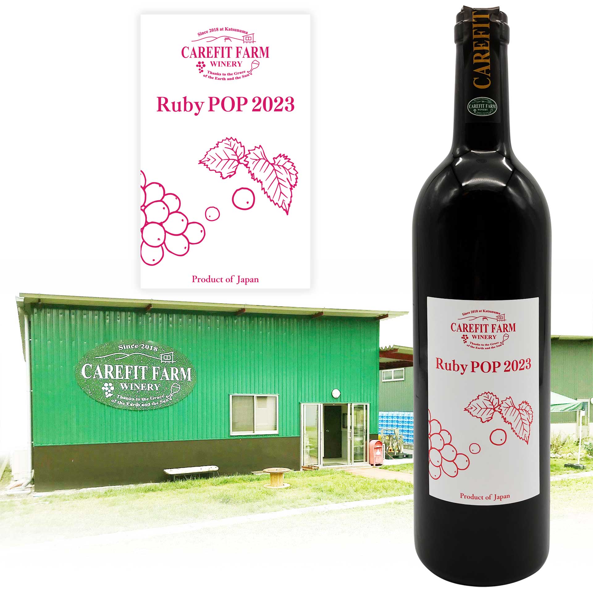Ruby POP 2023 