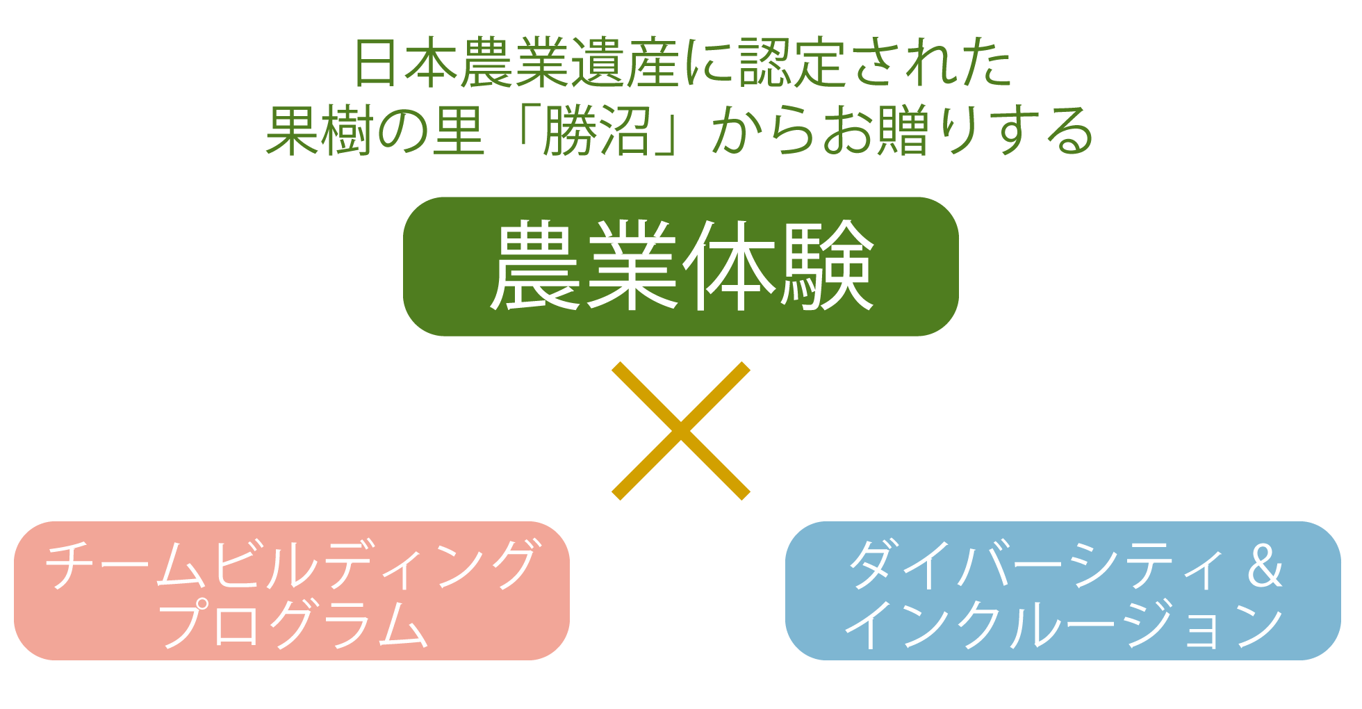 農業体験xチームビルディング プログラム、ダイバーシティ&インクルージョン