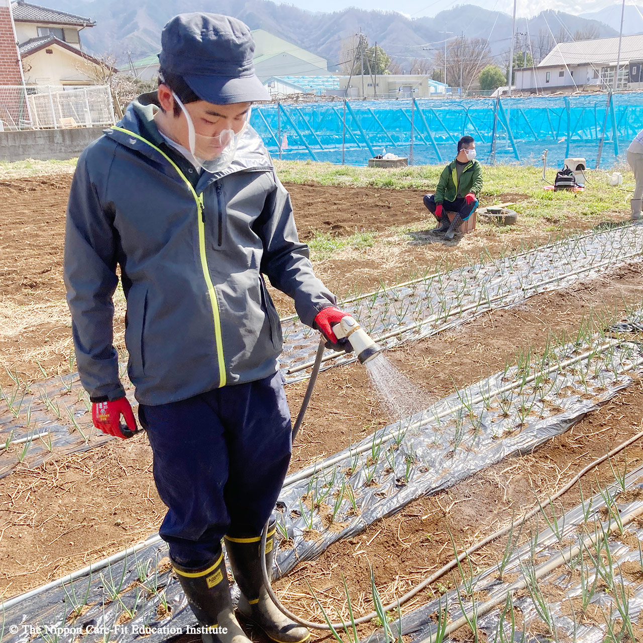 野菜栽培