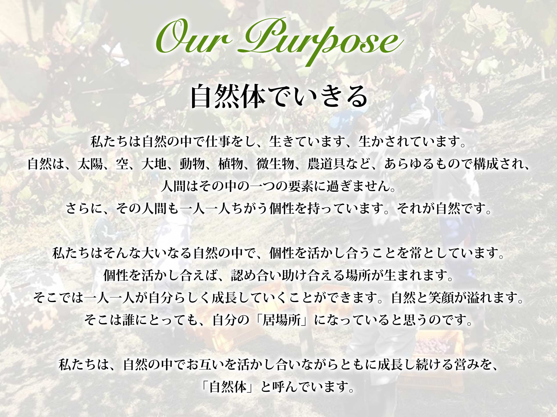 Our Purpose