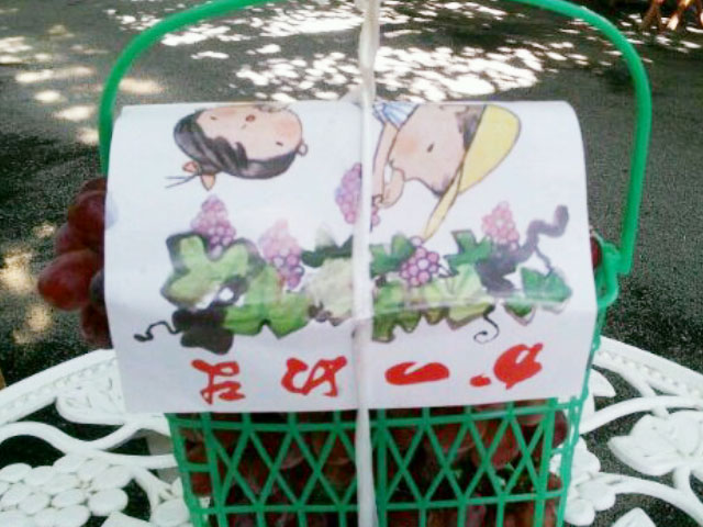 巨峰つめ放題