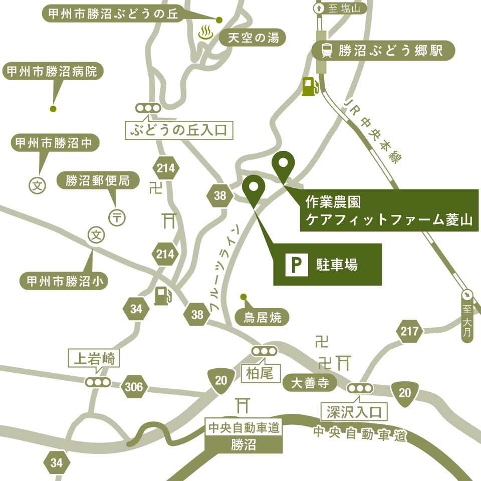 現地案内図