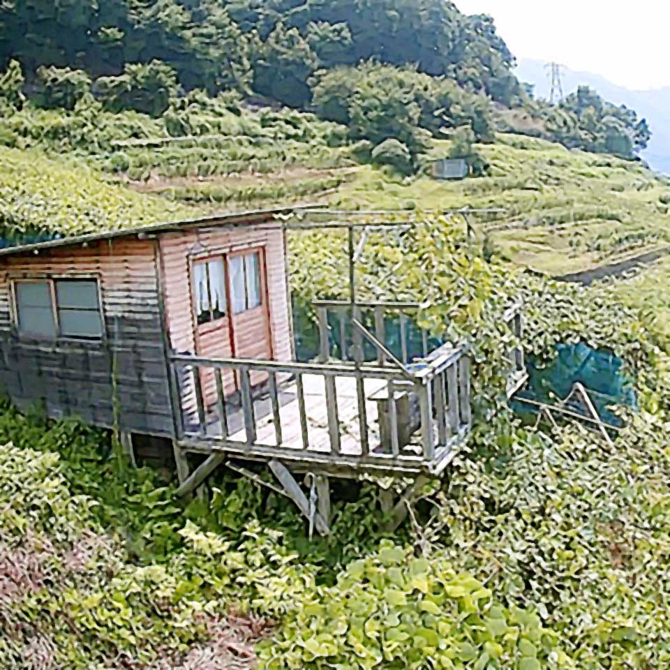 CAREFIT FARM