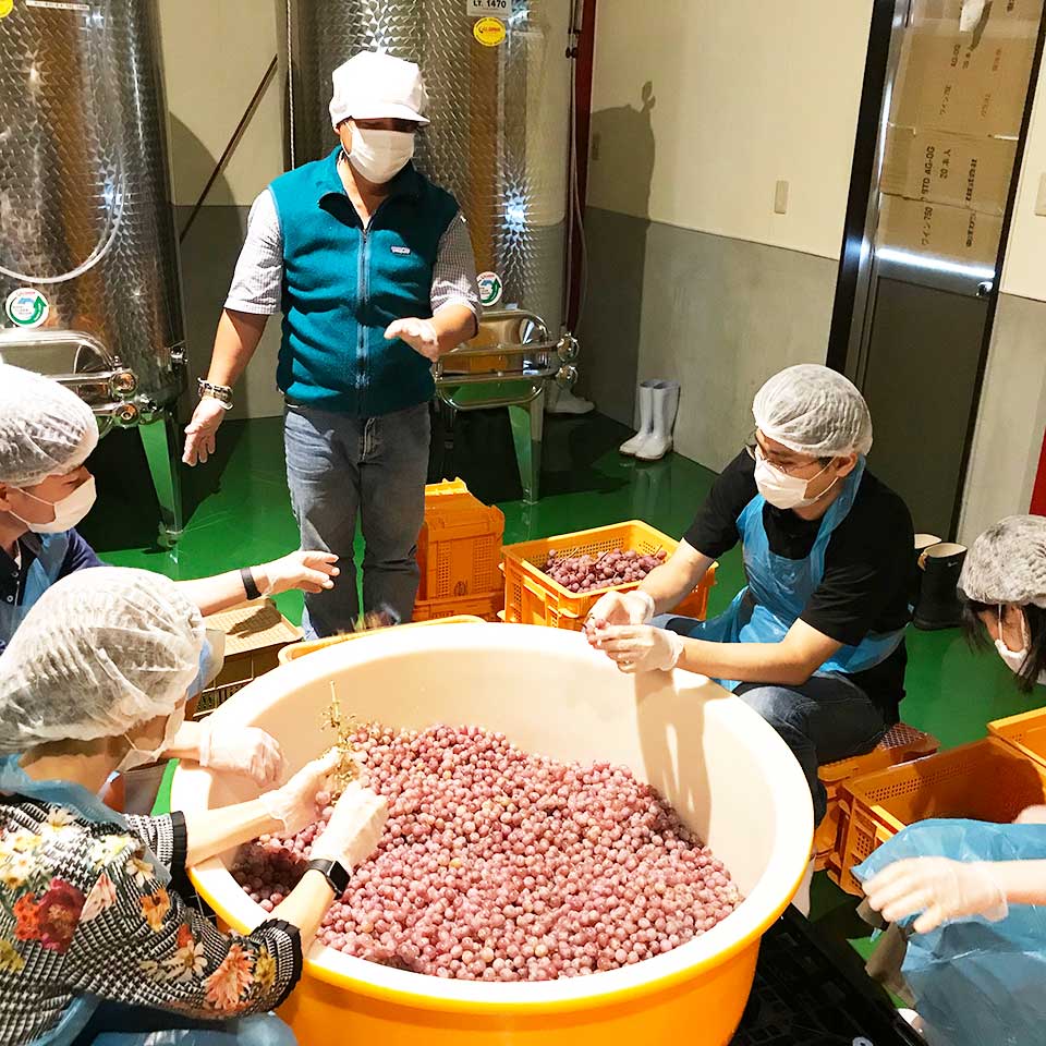 CAREFIT FARM WINERYの作業