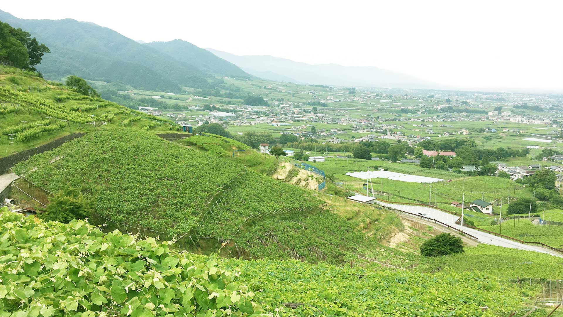 CAREFIT FARM