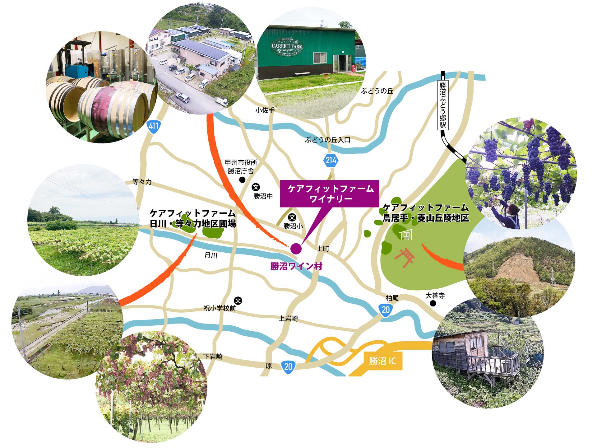 CAREFIT FARM WINERYの立地