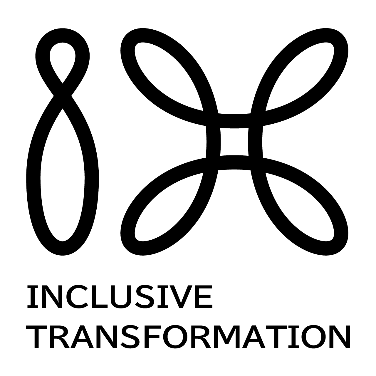 IX INCLUSIVE TRANSFORMATION
