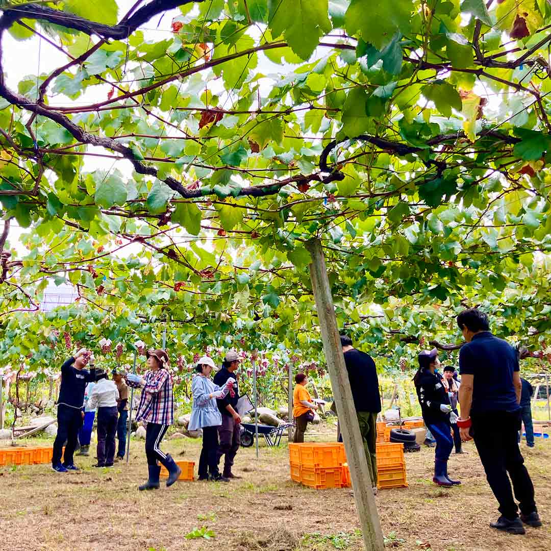 インクルーシブ・コミュニケーター実地研修（NTTアドバンステクノロジ株式会社様）