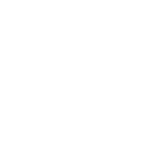 バス
