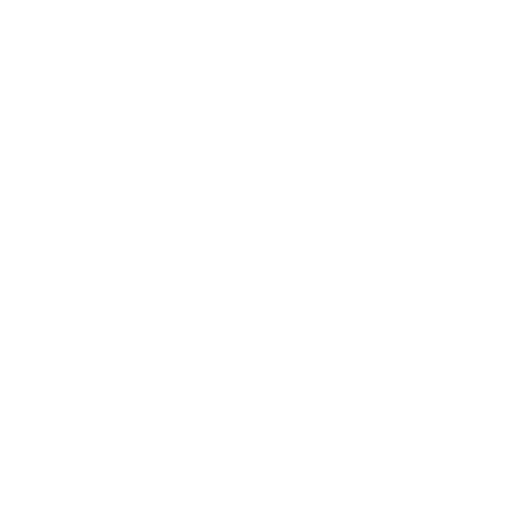 飛行機