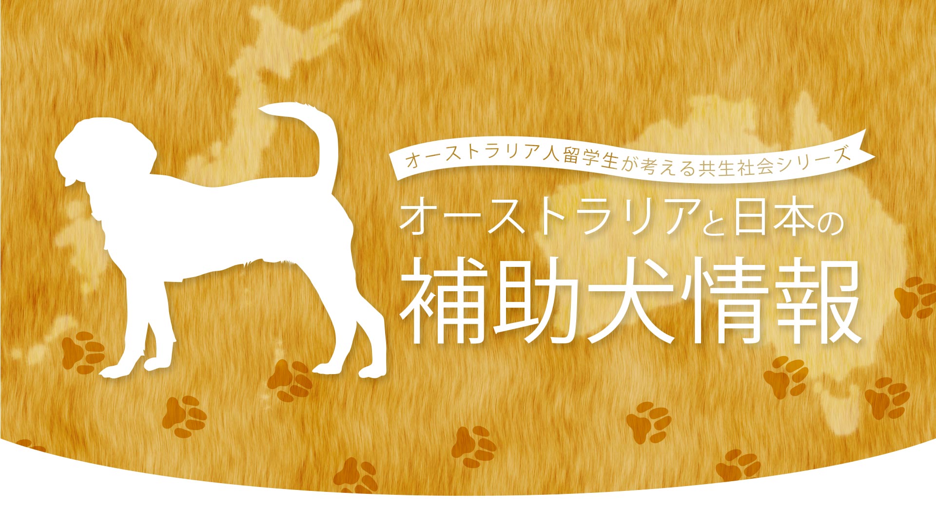オーストラリアと日本の補助犬情報