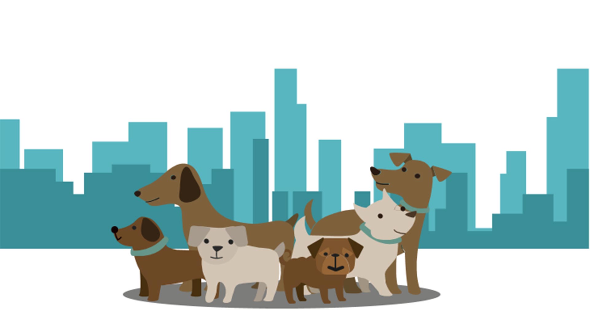補助犬