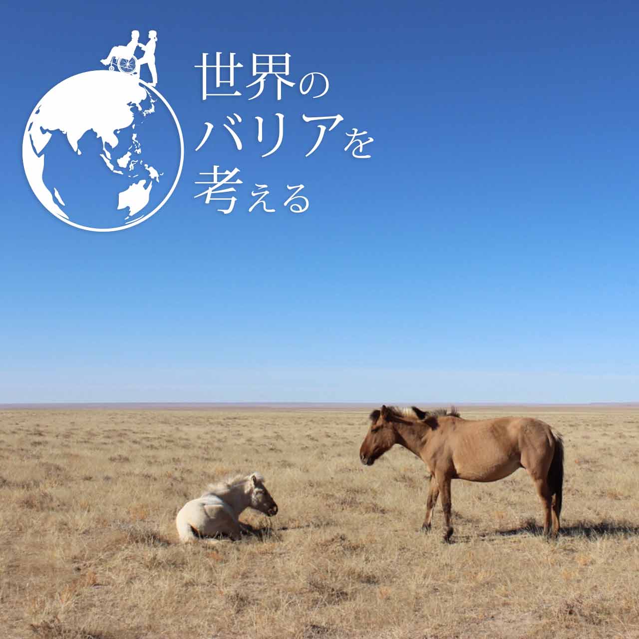 世界のバリアを考える 番外編 -モンゴル人のおもてなし-