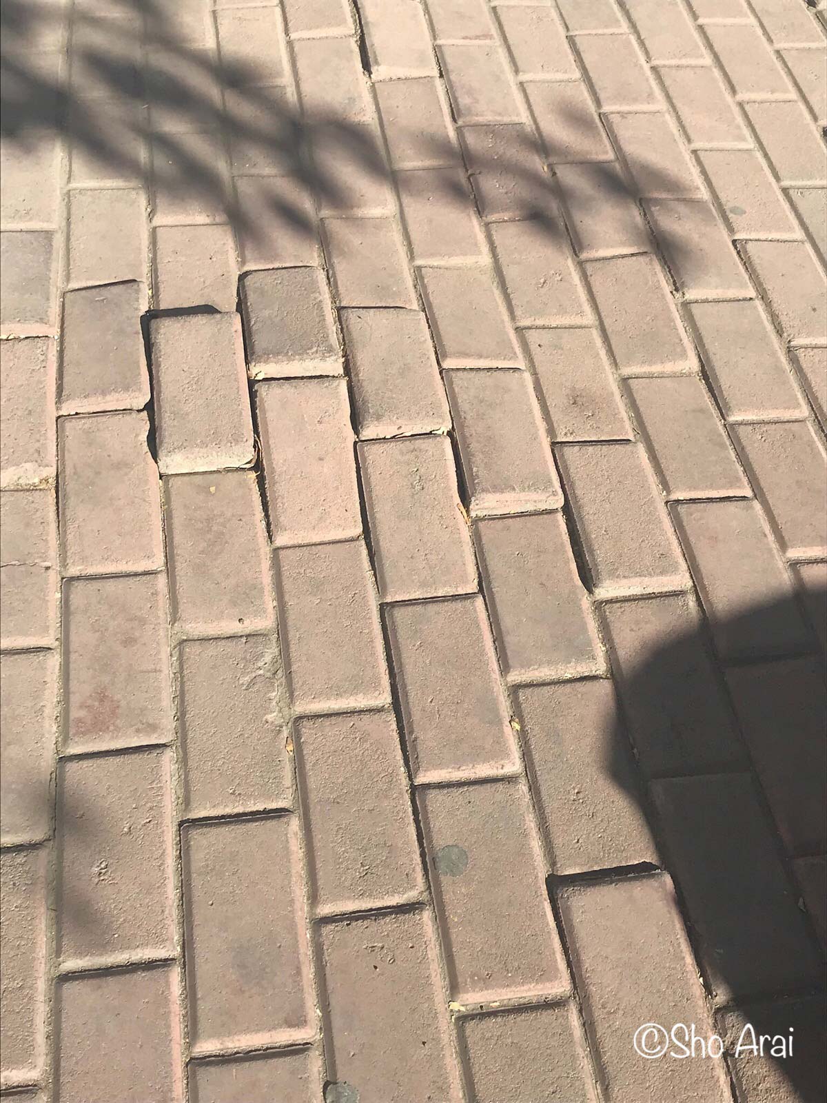 ウランバートル市内の道路