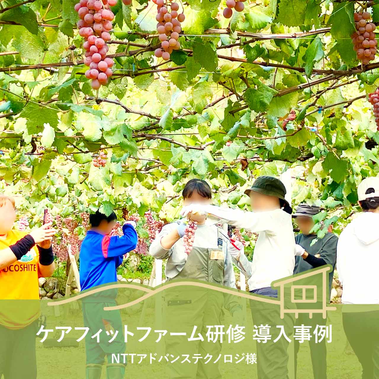 ケアフィットファーム研修 導入事例（NTTアドバンステクノロジ様）