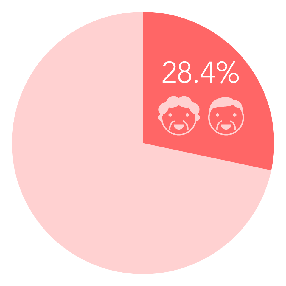 全人口の28.4%が高齢者
