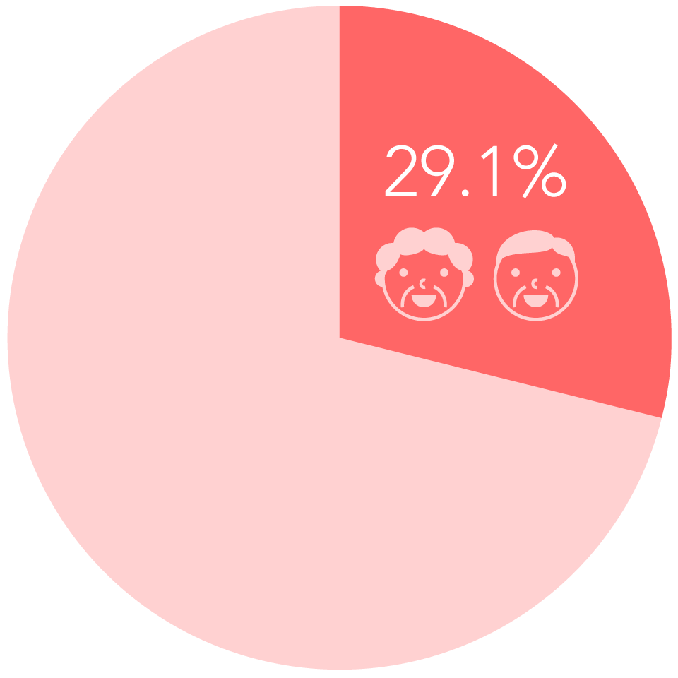 全人口の29.1%が高齢者