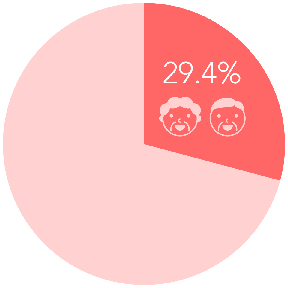 全人口の29.4%が高齢者