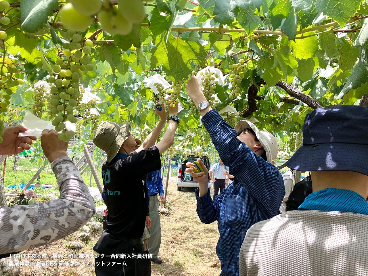 JR東日本桜木町・横浜・町田統括センター合同新入社員研修